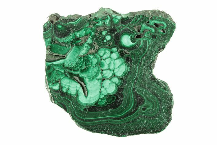 Flowery Polished Malachite Slab - DR Congo #266825